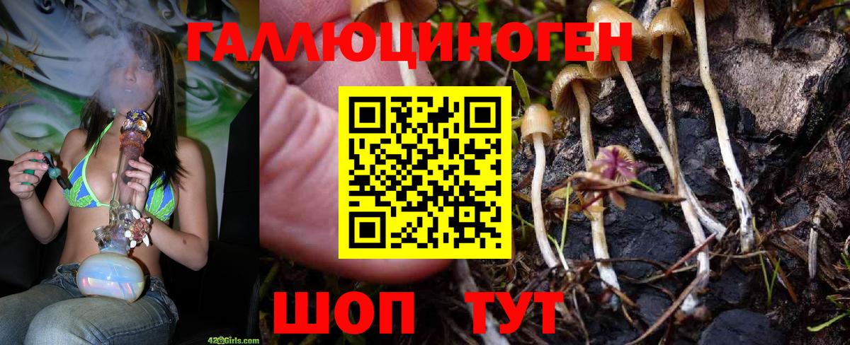 Ступино  Галлюциногенные грибы мицелий  Вход с VPN 
