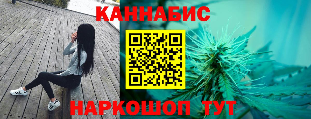 Каннабис план  Конопля White Widow  Вход с VPN  Ступино 